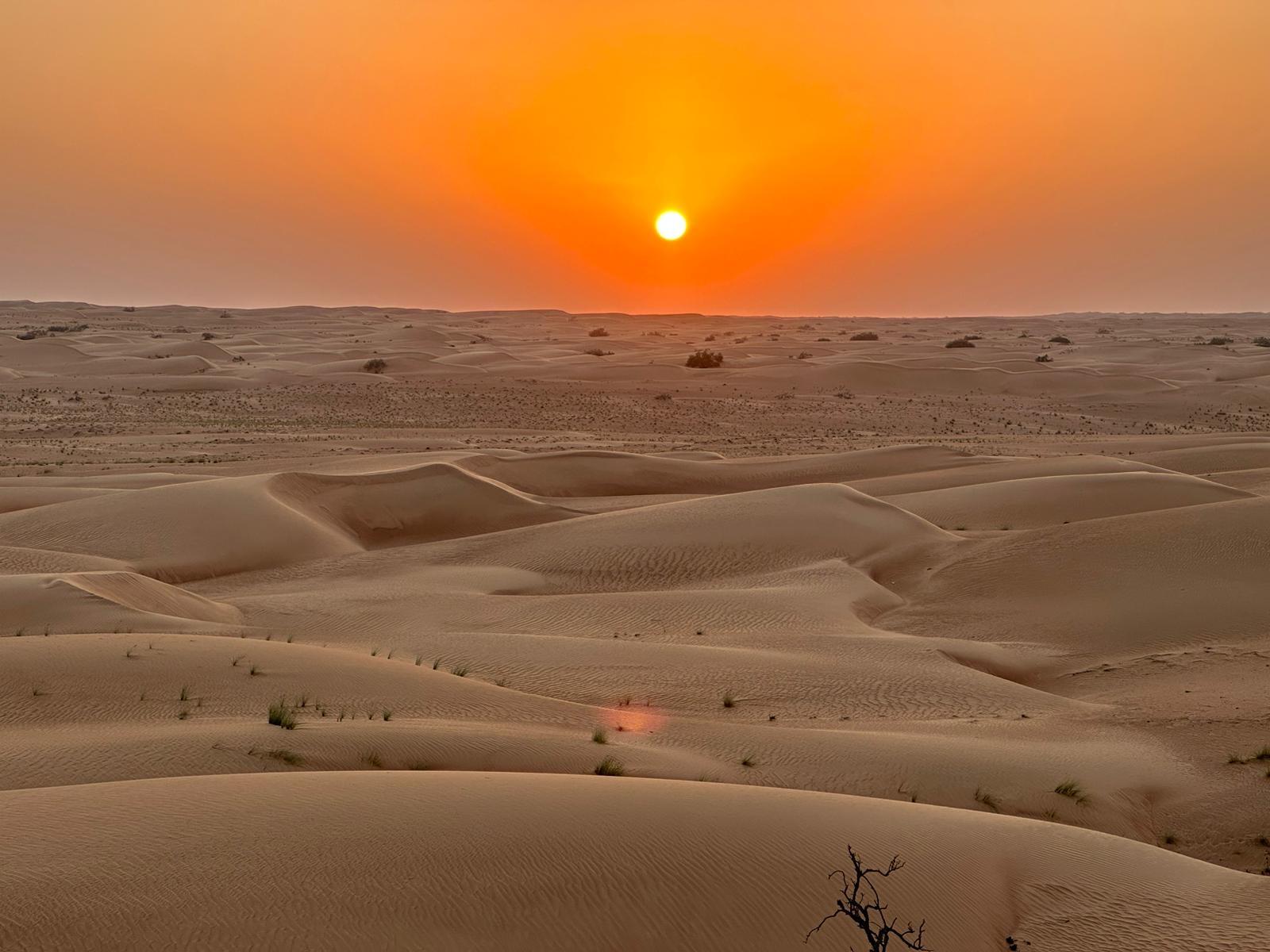 Evening light over the dunes of the Wahiba Sands