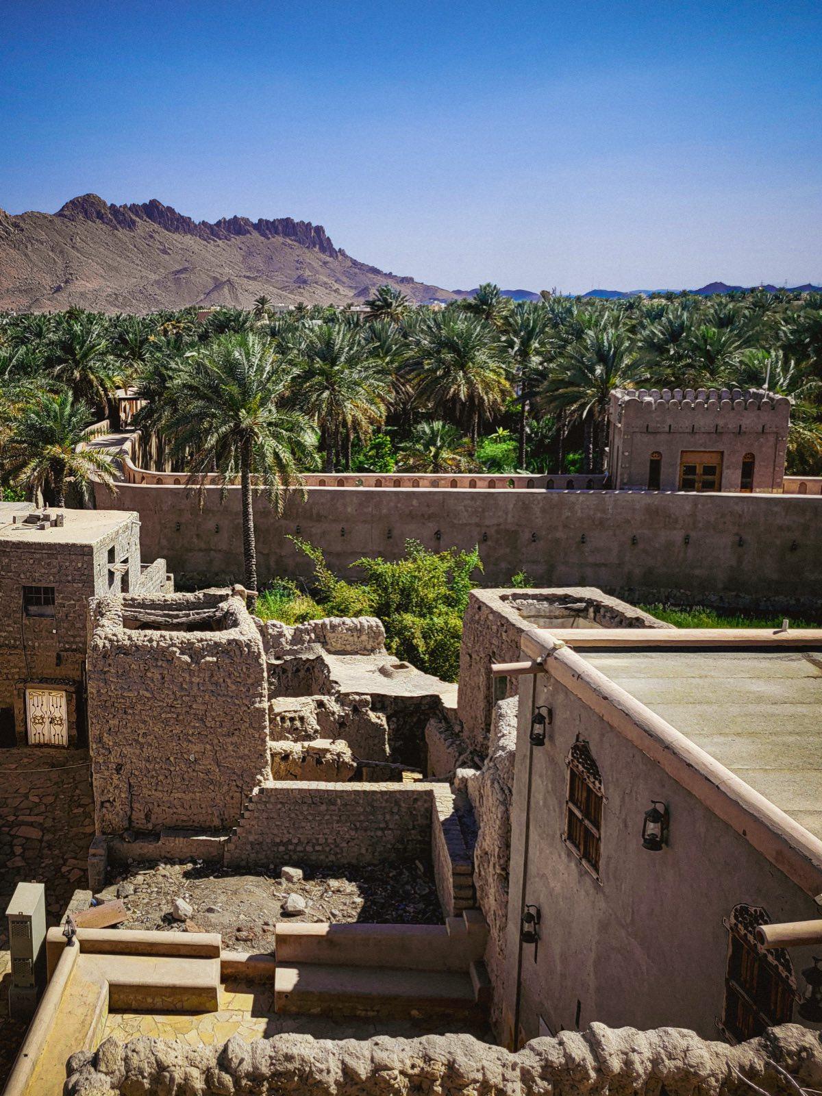 Mud-brick ruins on the edge of a palm oasis