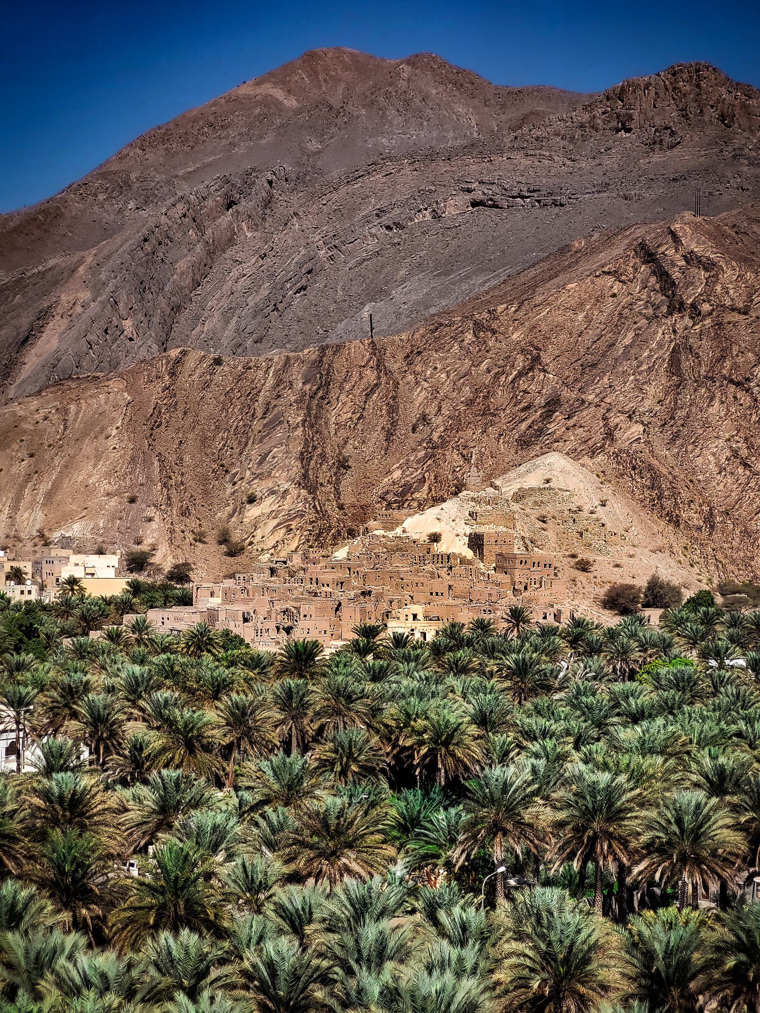 Abandoned mud-brick village against the mountainside, surrounded by date palms