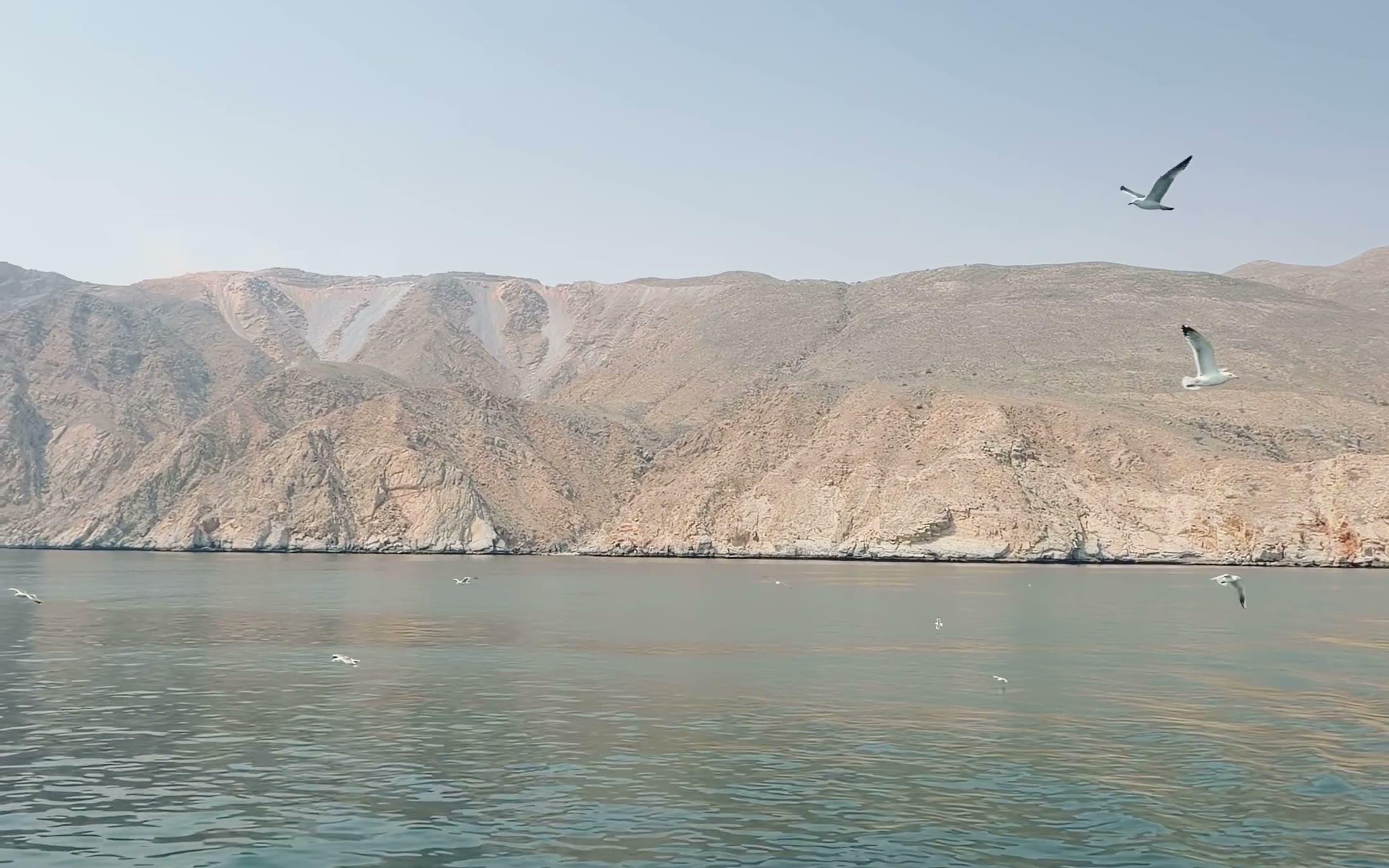 Bare mountain walls of the Khor Sham fjord, with gulls above the water