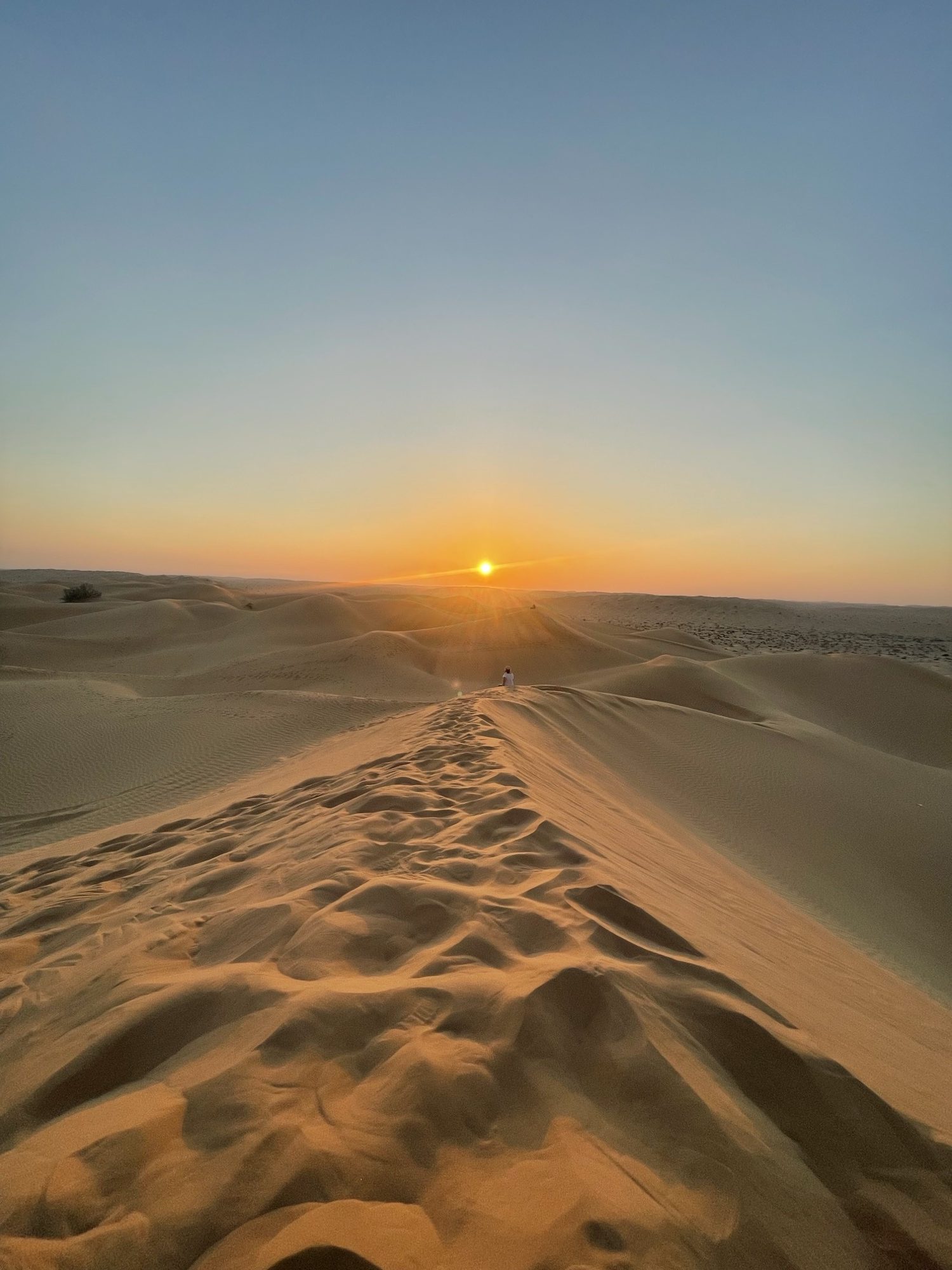 Footprints along the dune crest, the sun low on the horizon
