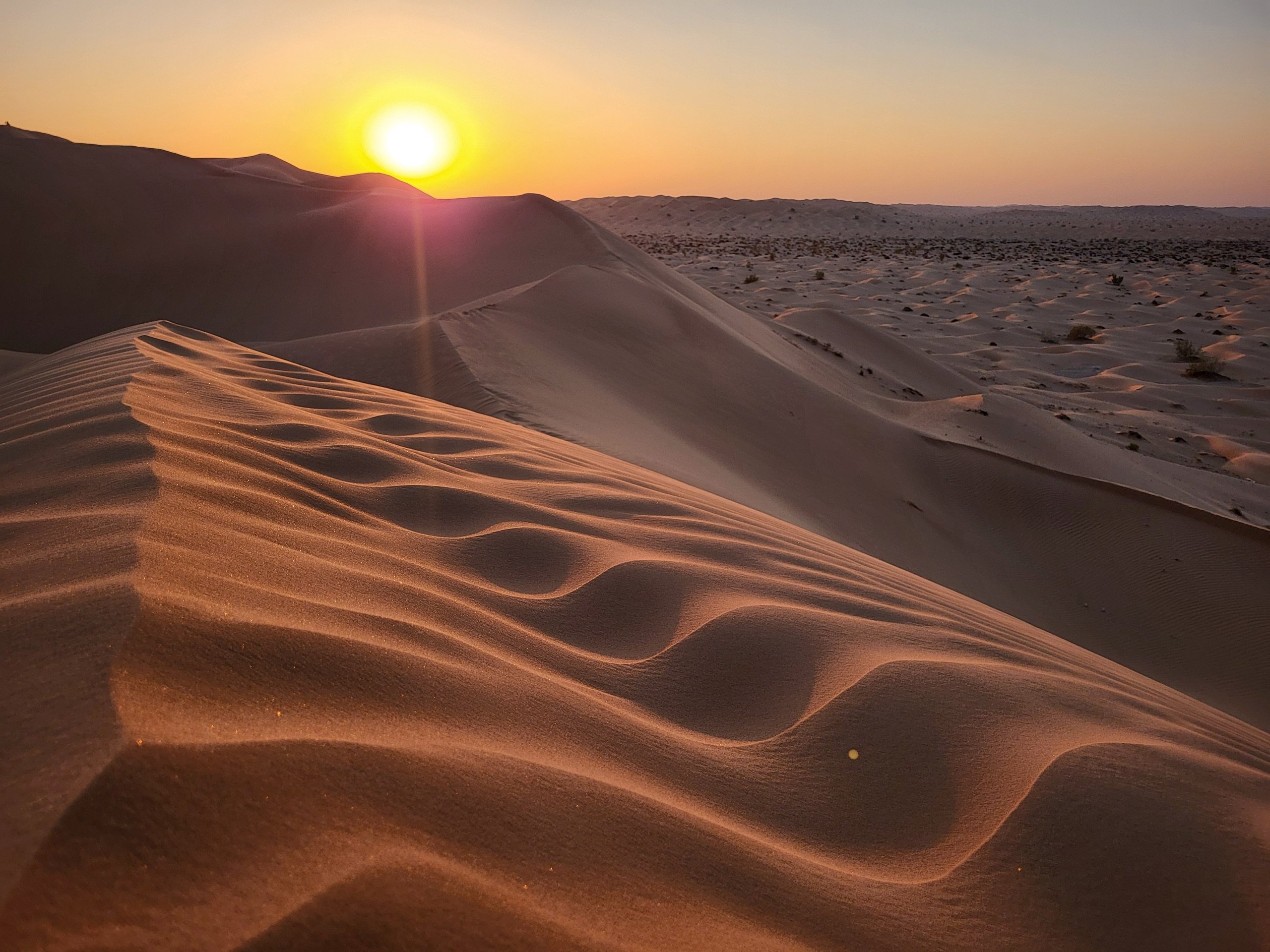 Ripples in the sand of the Wahiba Sands as the sun sinks behind the dunes