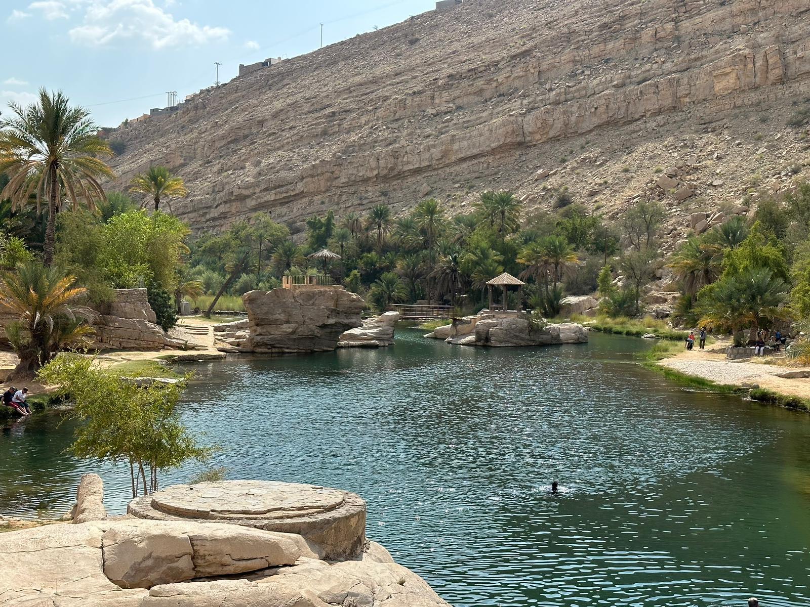Palms and turquoise water in Wadi Bani Khalid