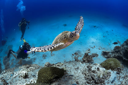 Exclusive for You | Discover Oman | Tailor-Made and Personal