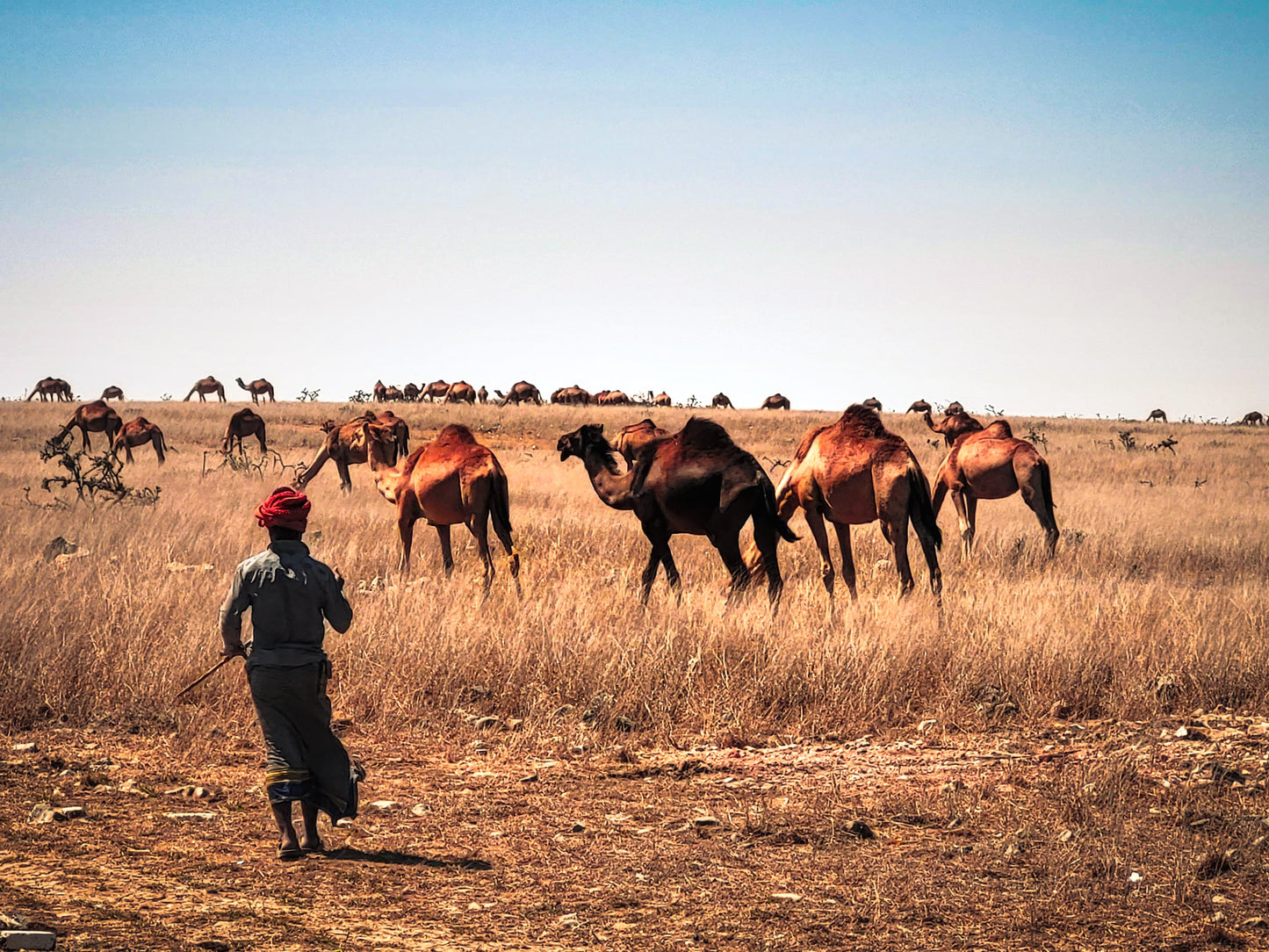 Exclusive for You | Discover Oman | Tailor-Made and Personal