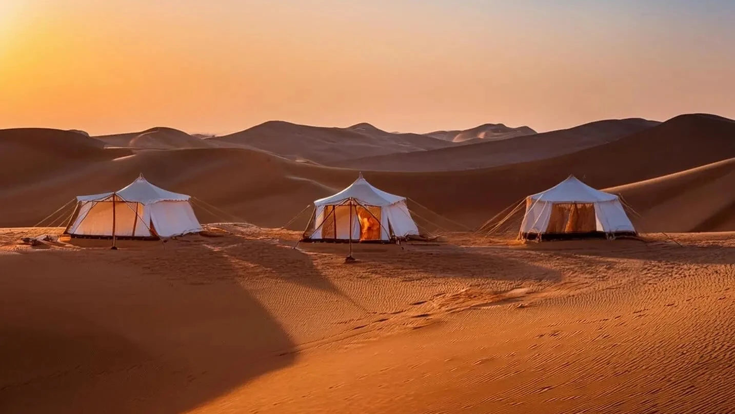 Desert Nights